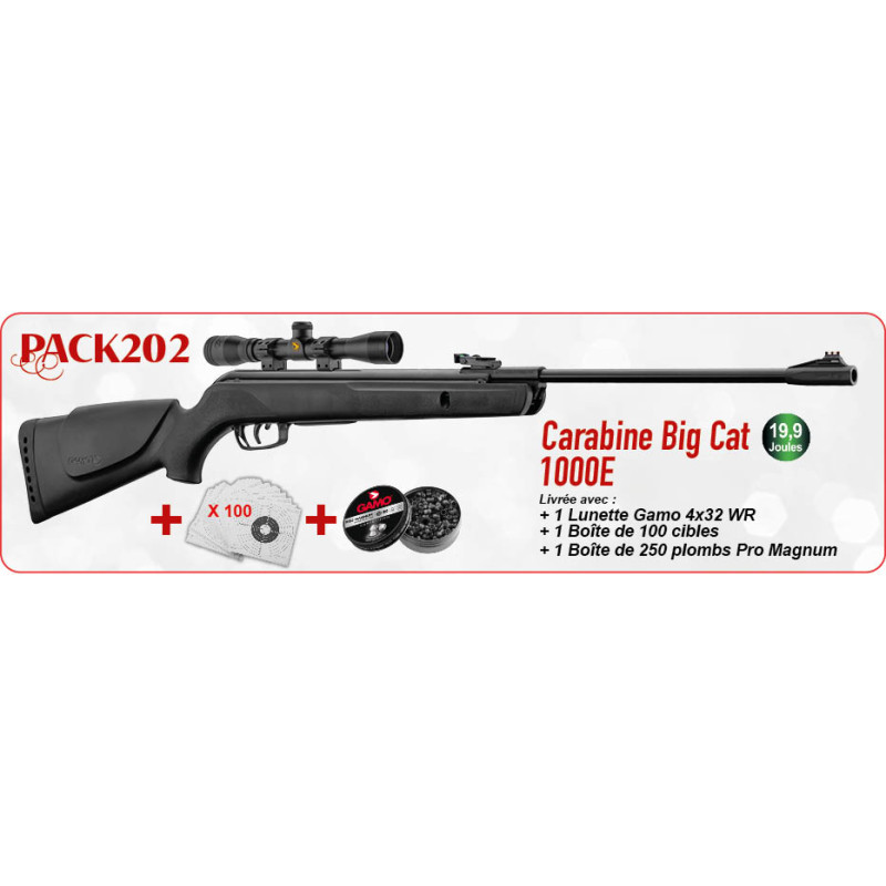 Pack GAMO  Carabine Big Cat 1000 + Lunette 4x32 LC + 100 cibles + 250 plombs Gamo