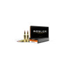 Munitions NOSLER Cal.243win BALLISTIC TIP varmint 70gr  BT varmint