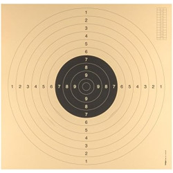 Cible c50 paquet de 100 52x41cm