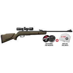 Pack GAMO  Carabine Big Cat Barricade + Lunette 4x32 LC + 100 cibles + 250 plombs Gamo