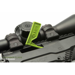 drapeau mdt témoin de chambre