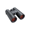 jumelles BUSHNELL ENGAGE EDX 10X42 MM
