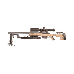 Queen’s Equalizer Kit for BipodeXt egaliseur